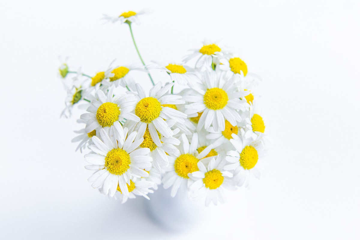 Детская фотография